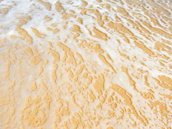 High angle view of bubbles on beach