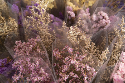 High angle view of flowering plants at market