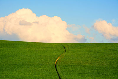 Scenic view of grassy landscape with trail against sky