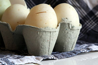 Close-up of eggs in carton