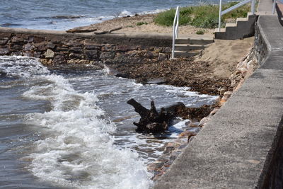 Dog in sea against sky