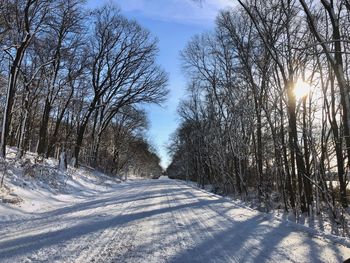 Road amidst trees against sky during winter