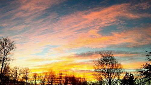 Low angle view of silhouette trees against dramatic sky