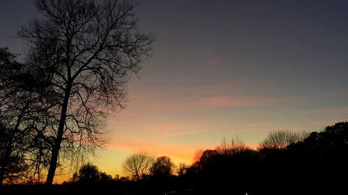 Silhouette of trees at sunset