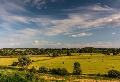 Scenic view of agricultural field against sky