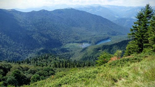 Scenic view of forest and mountains against sky