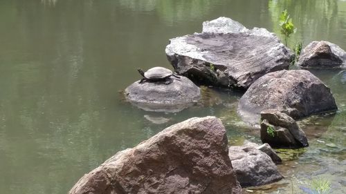 Rocks in a lake