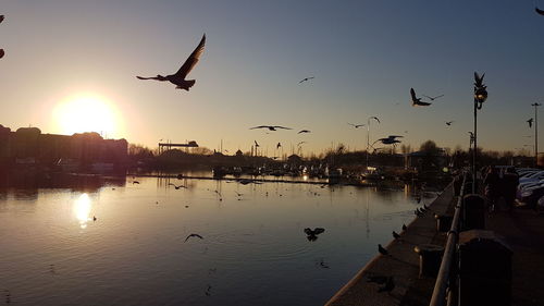 Silhouette birds flying over lake against sky during sunset