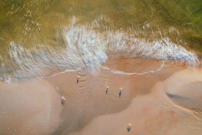 Directly above view of birds on shore at beach