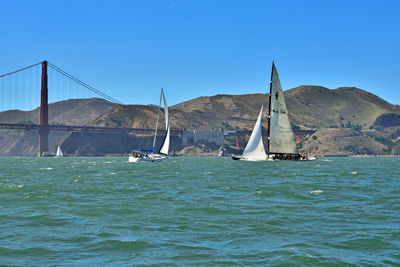 Sailboats sailing on sea against clear blue sky