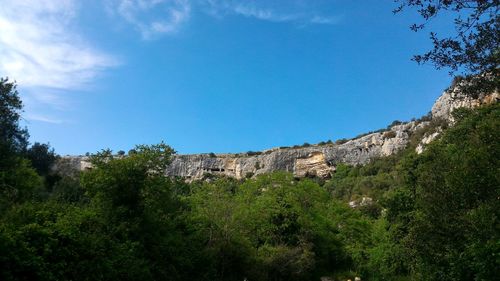 Low angle view of plants growing on mountain against sky. cave of ispica.