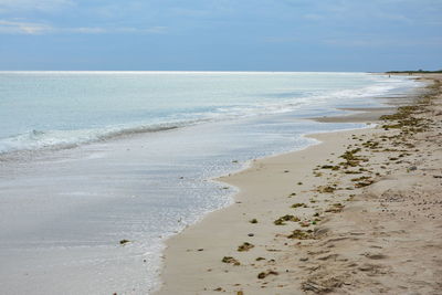 Scenic view of beach against sky