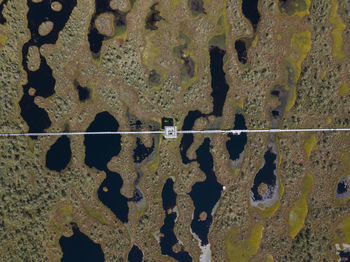 A bog seen from above. a boardwalk and an observation tower can be seen in the middle. 