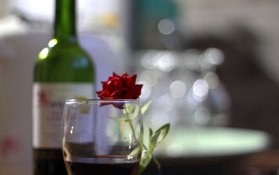 Close-up of red rose in glass bottle on table