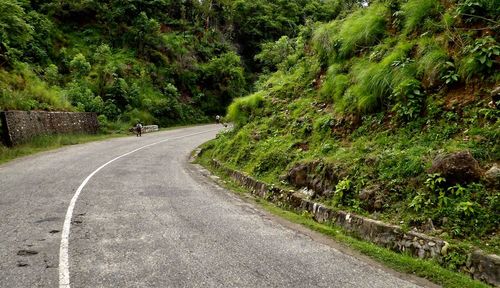 Empty country road along trees