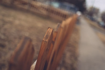 Close-up of wood on sand