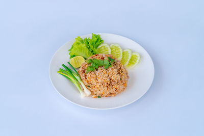 Directly above shot of food in plate on white background