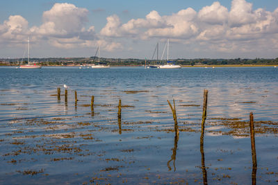 Scenic view of sailing boats on the sea from thorney island