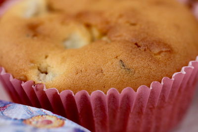 Close-up of food