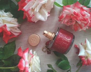 High angle view of roses on table