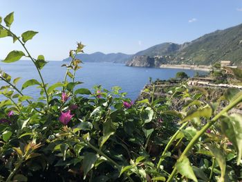 Scenic view of sea and mountains against sky