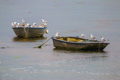 Boat moored on beach