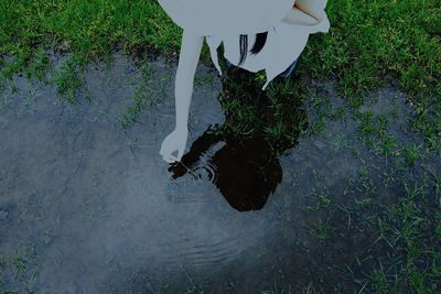 Reflection of woman in water