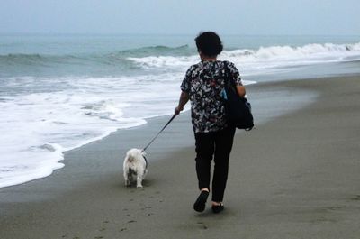 Rear view of man with dog on beach