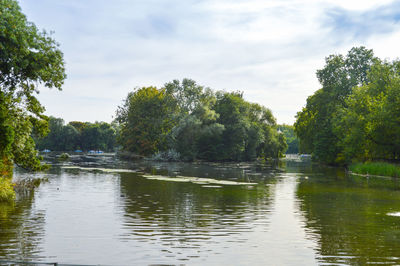 Scenic view of lake by trees against sky