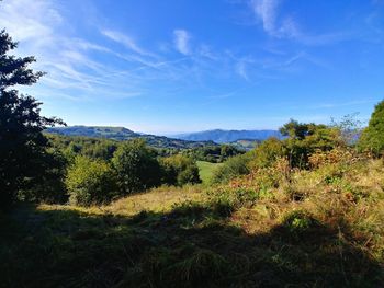 Scenic view of landscape against sky