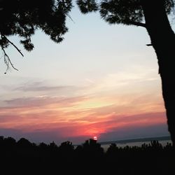 Scenic view of silhouette trees against sky at sunset