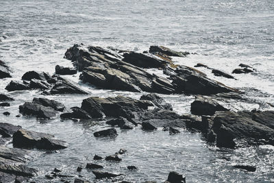 High angle view of rocks on sea shore