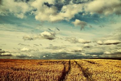 Scenic view of agricultural field against sky
