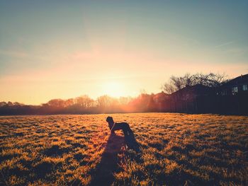 View of dog on beach during sunset