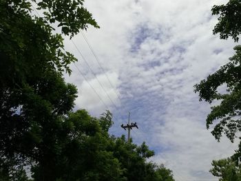 Low angle view of trees against sky