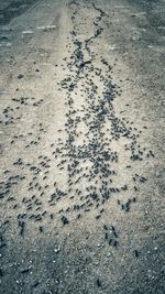 High angle view of footprints on sand at beach