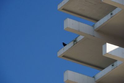 Low angle view of bird perching on building against sky