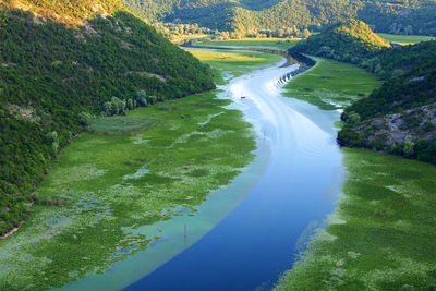 High angle view of river amidst trees in forest