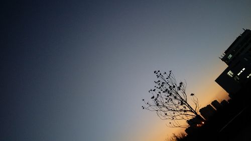 Low angle view of silhouette bird flying against clear sky