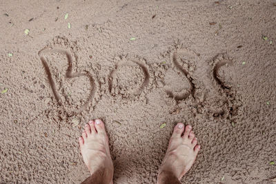 Low section of human feet on sand