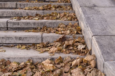 High angle view of stone steps