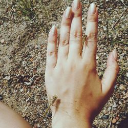 Close-up of cropped hand