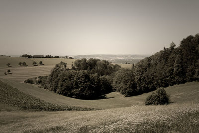 Scenic view of landscape against clear sky