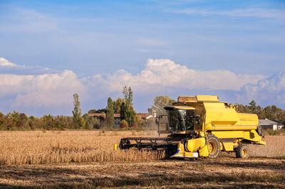 Yellow agricultural field against sky