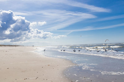 Scenic view of beach against sky
