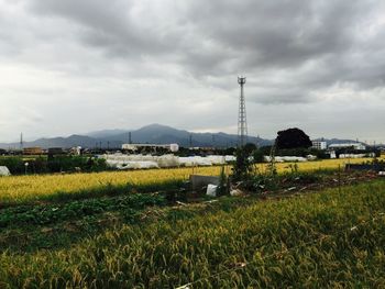 Scenic view of landscape against cloudy sky