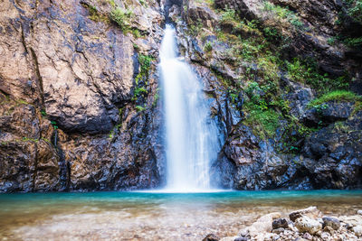 Scenic view of waterfall in forest