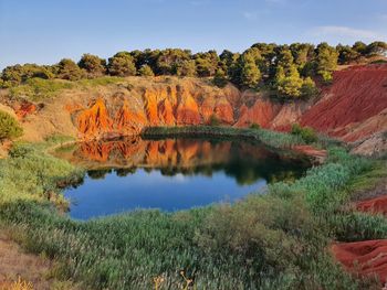 Scenic view of trees by lake against sky