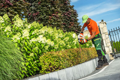 Rear view of woman standing by plants