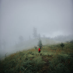 Scenic view of field against sky during foggy weather